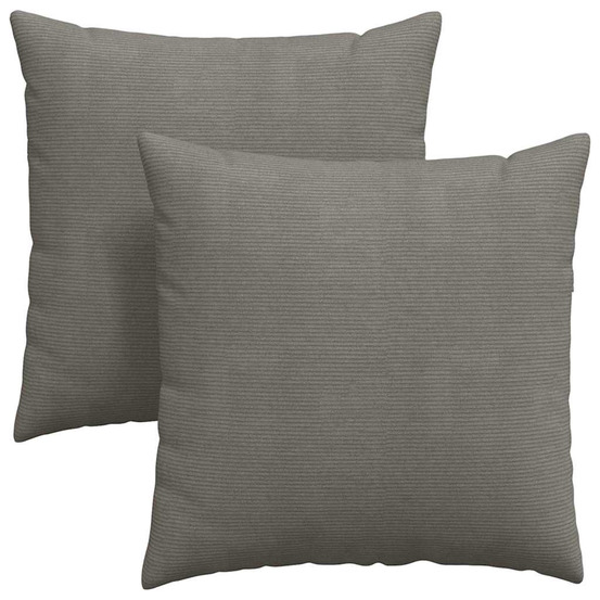Coussins de canapé 2 pcs gris clair 60 x 60 cm