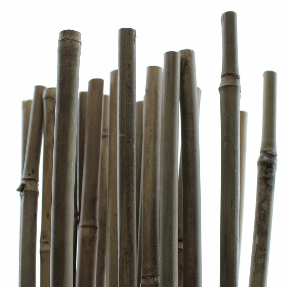 Tuteurs bambou 120 cm