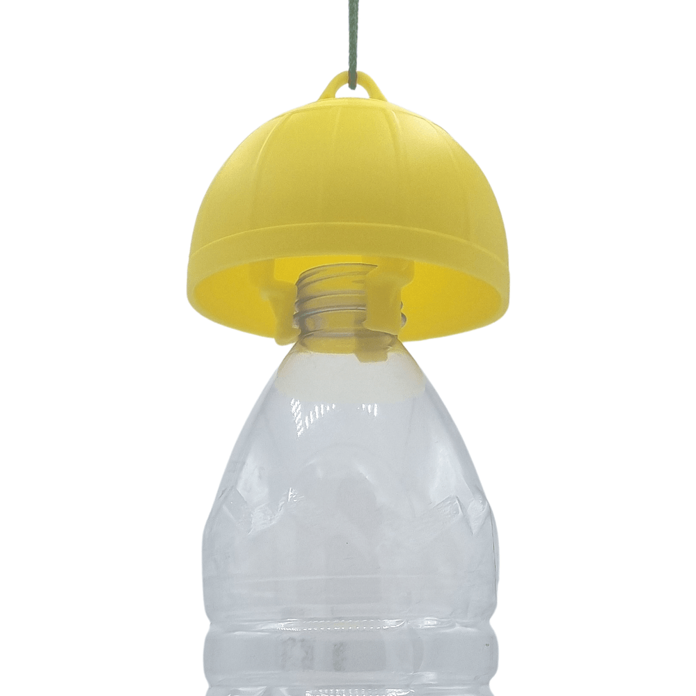 Ataoyus Lot de 8 pièges à Mouches de Fruits Jaunes Boules d'insectes