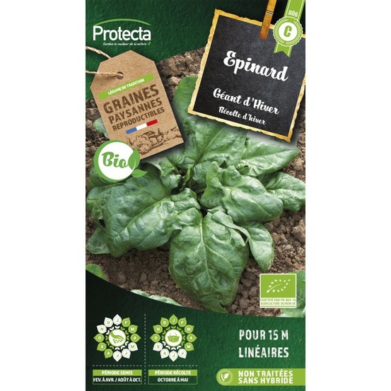Graines paysannes - epinard geant d'hiver bio