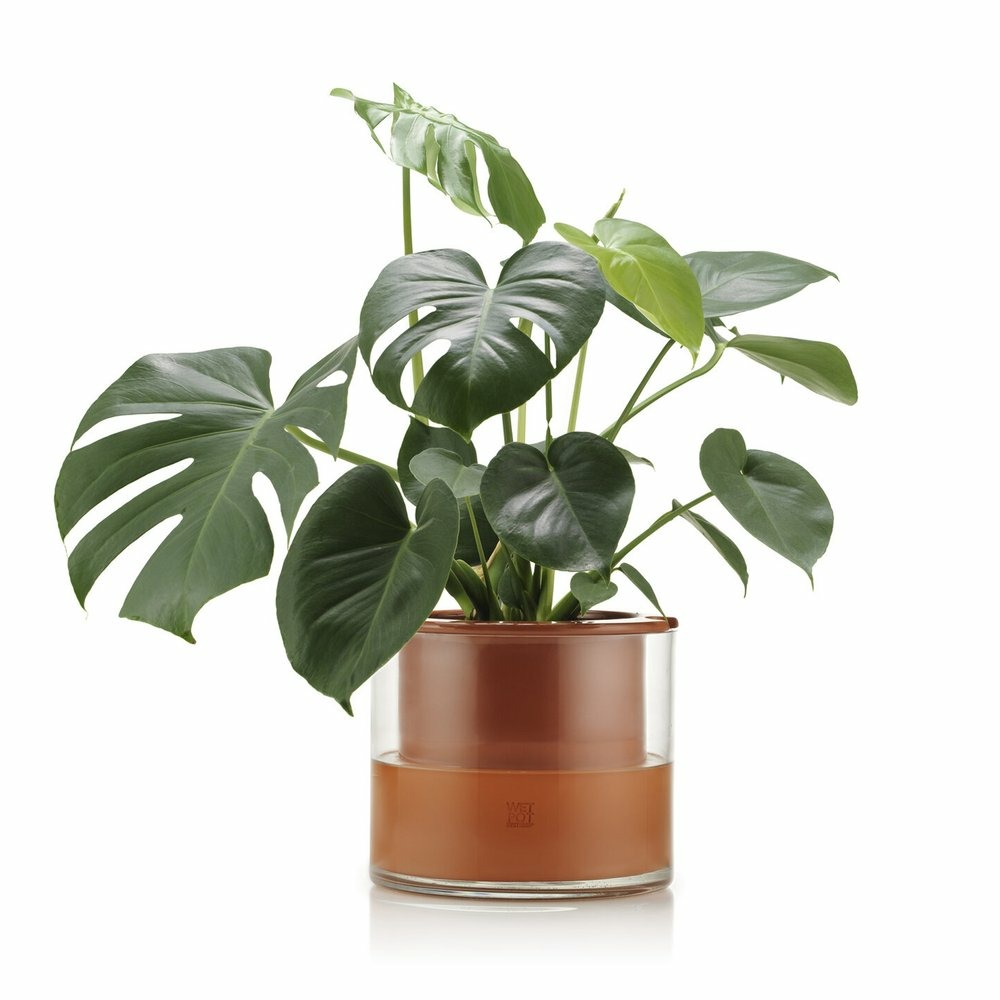 Pot à réserve d’eau en terre cuite – Taille L