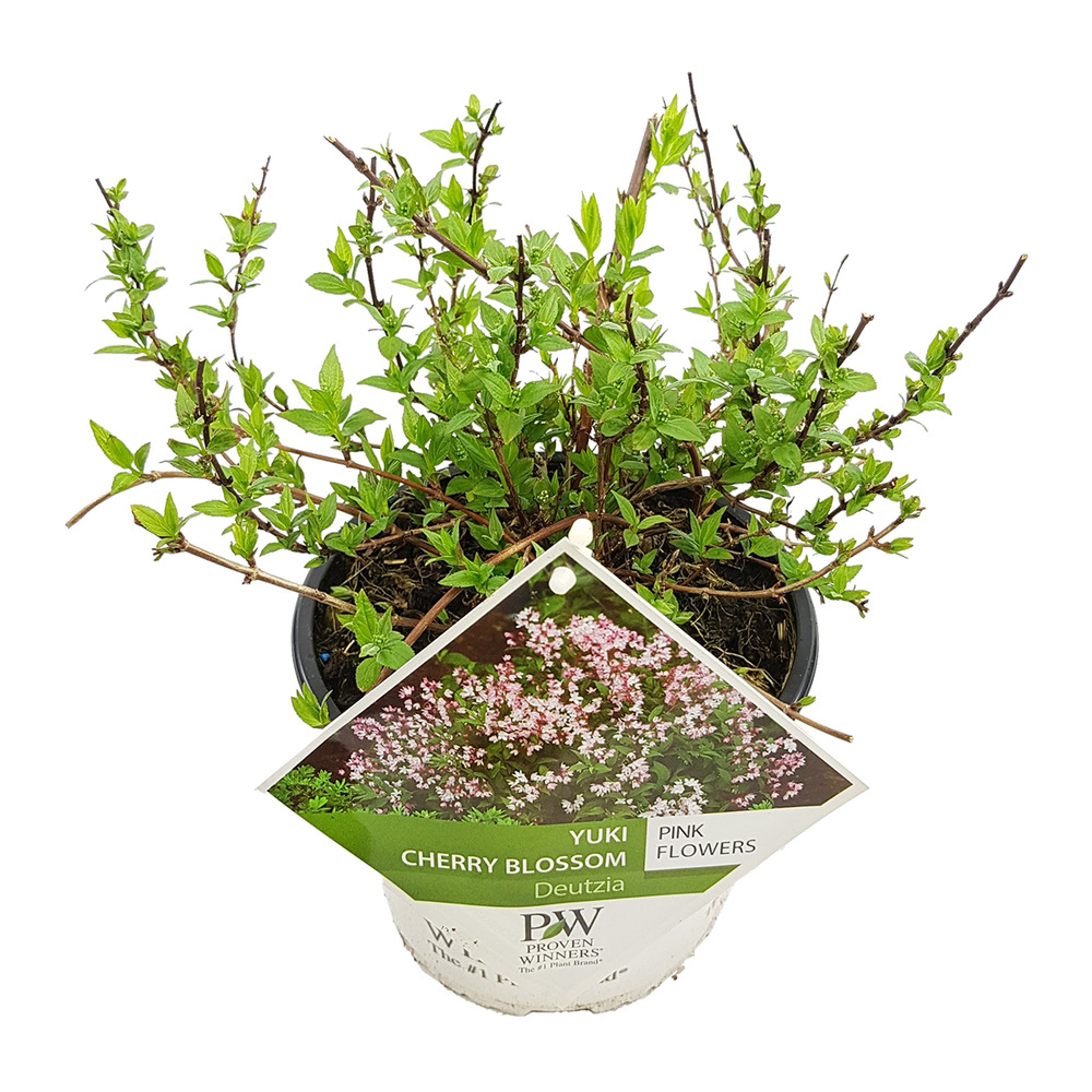 Arnusa Plante Artificielle Cerisier En Fleurs Cerisier Artificiel Fleur De Cerisier Plante D