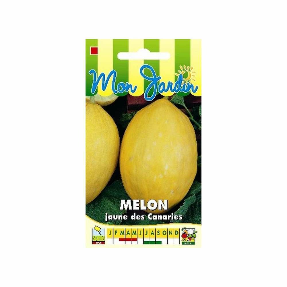 Graines de melon jaune des canaries