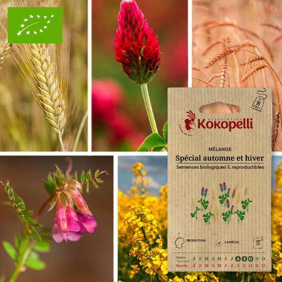 Mélange spécial automne et hiver- graines bio à semer