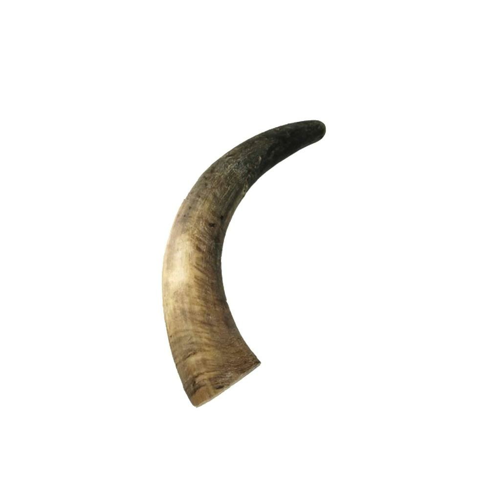 Corne de bœuf - mastication longue pour chiens M