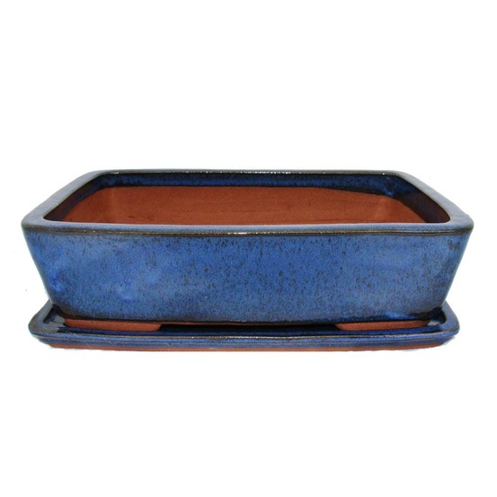 Bol bonsaï avec soucoupe taille 5 - rectangulaire g30 - bleu - l 32cm - b 24,5cm - h 8cm