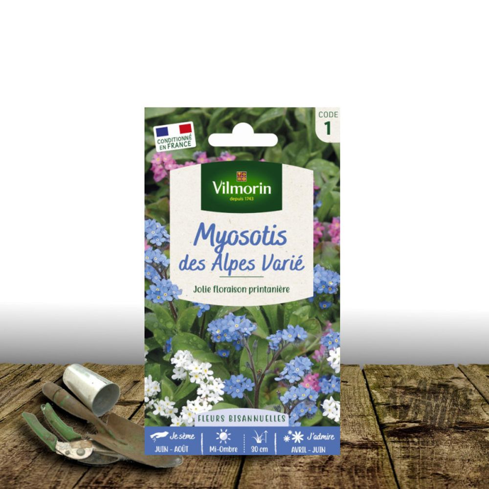 Graines de myosotis des alpes - vilmorin sachet