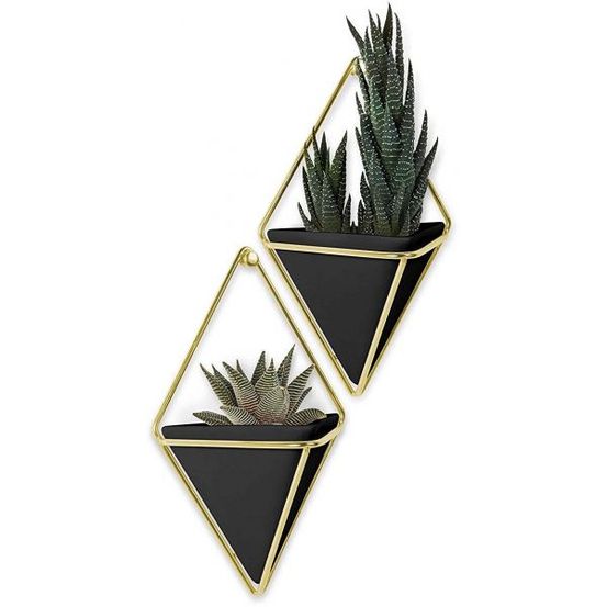 Support à plantes mural trigg (lot de 2)