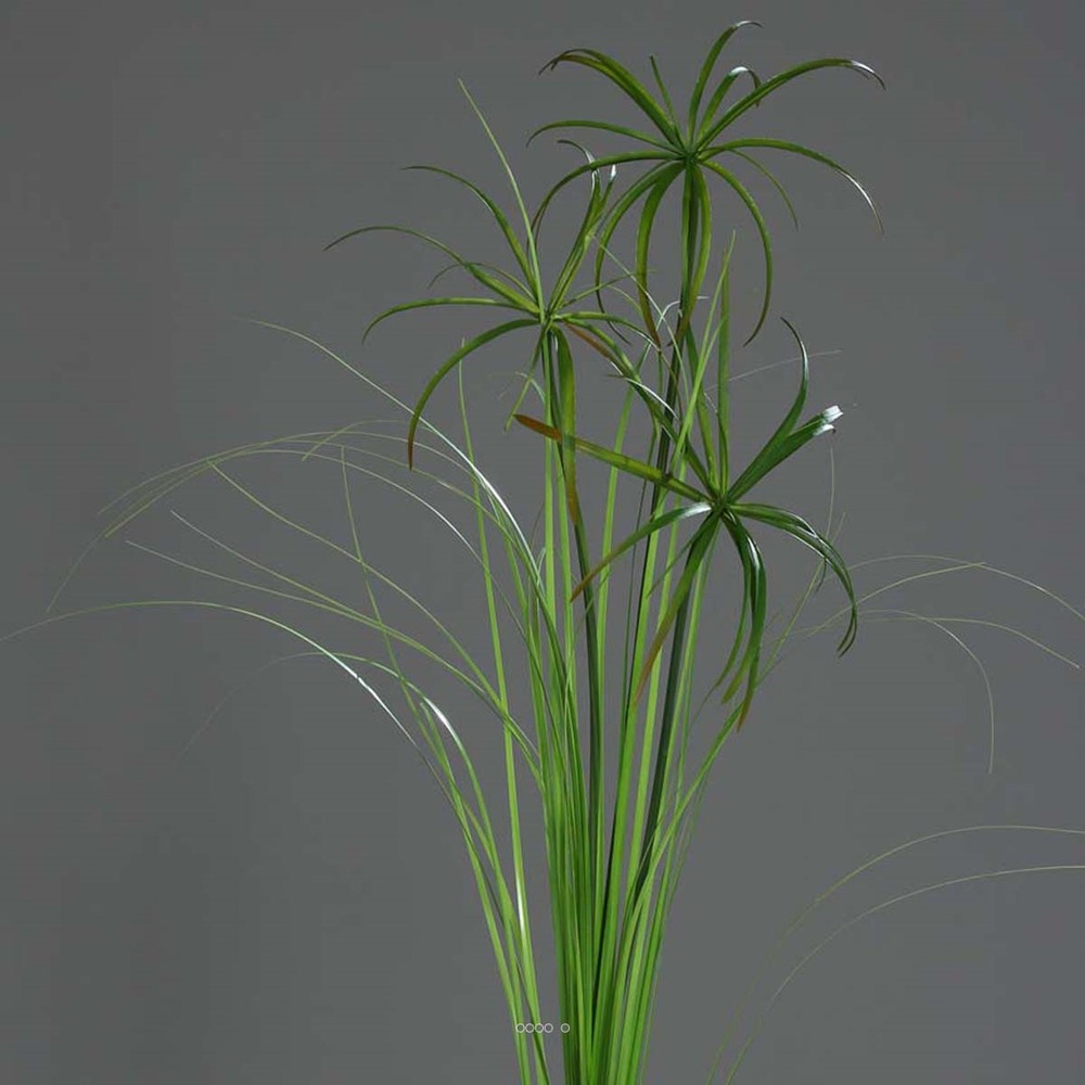 Branche de Papyrus artificiel H 117 cm