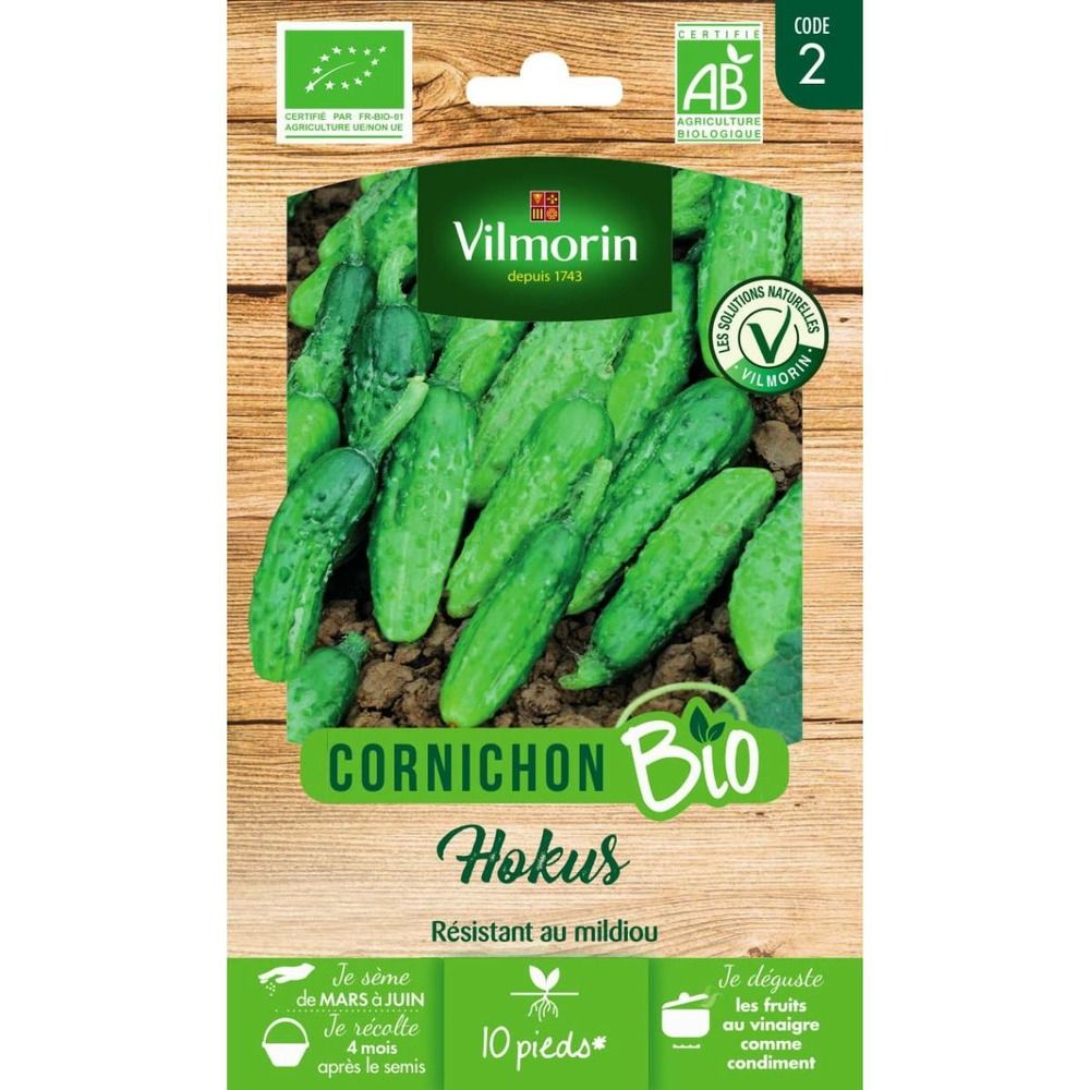 Sachet graines cornichon hokus bio - cucumis sativus