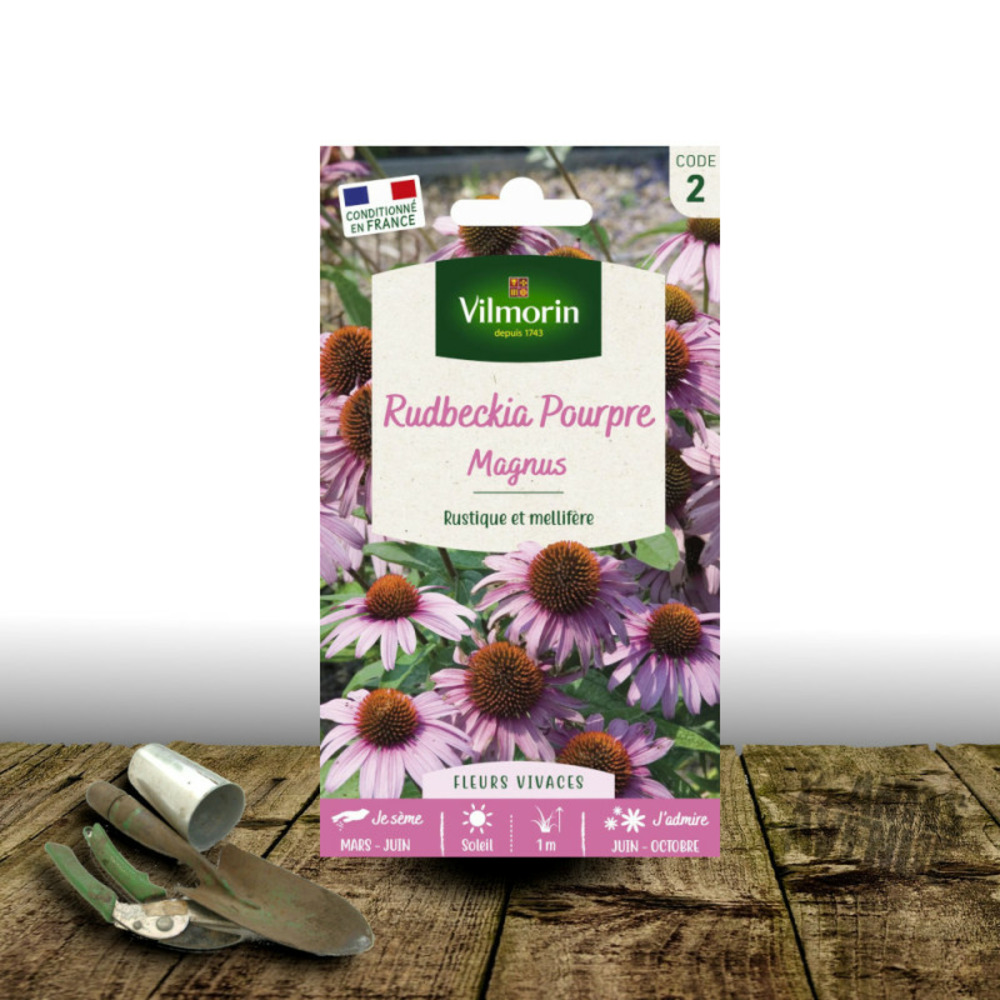 Graines de rudbeckia rose magnus - vilmorin sachet
