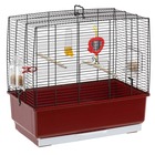 Ferplast cage rectangulaire pour oiseaux exotiques et canaris rekord 3, livrée avec accessoires et mangeoire tournante, métal