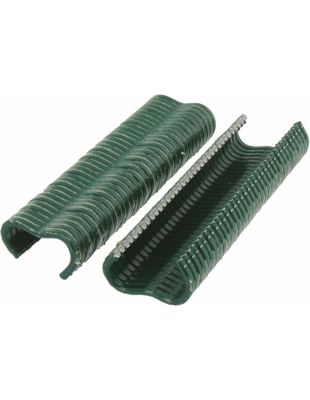 Vr22 vert - agrafes grillage - blister 215