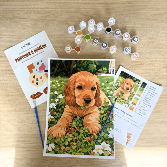 Peinture au numéro - chien teddy
