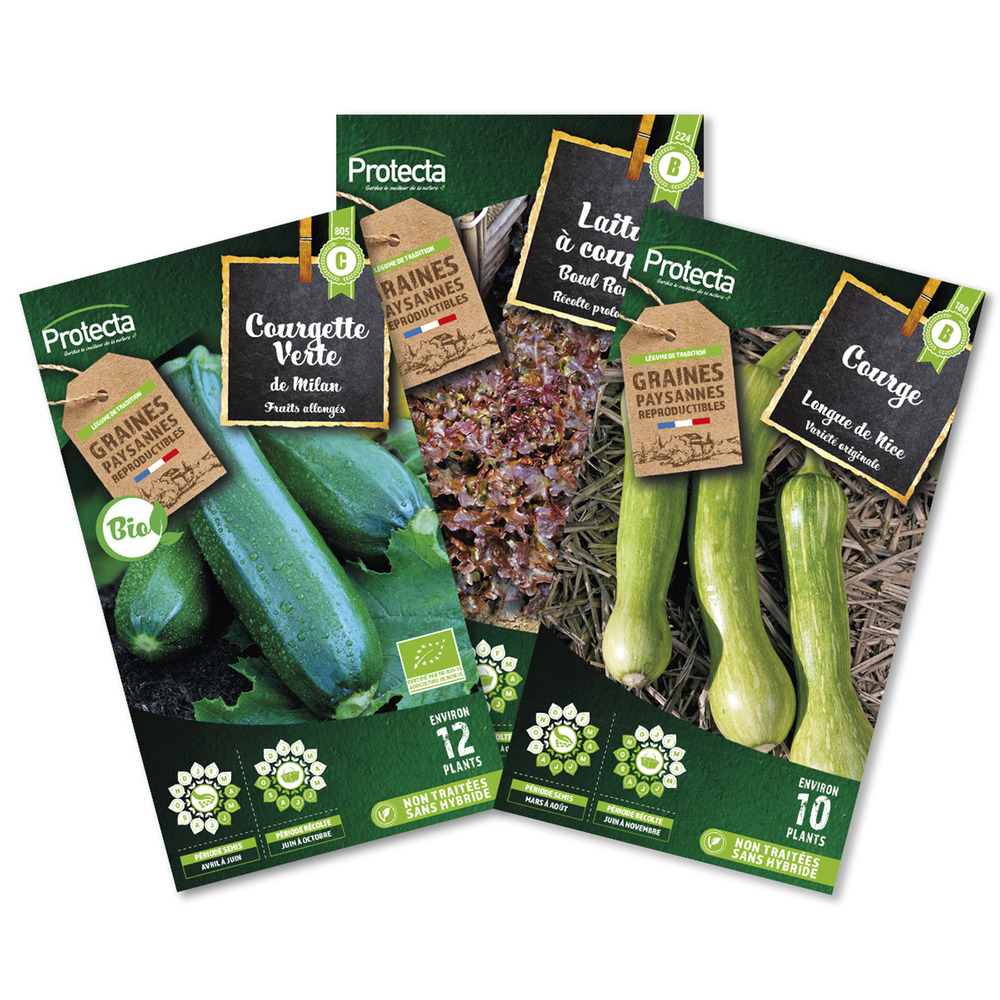 Pack été - courgette milan, courge de nice, laitue red salad bowl