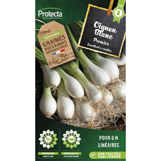 Graines paysannes - oignon blanc premier