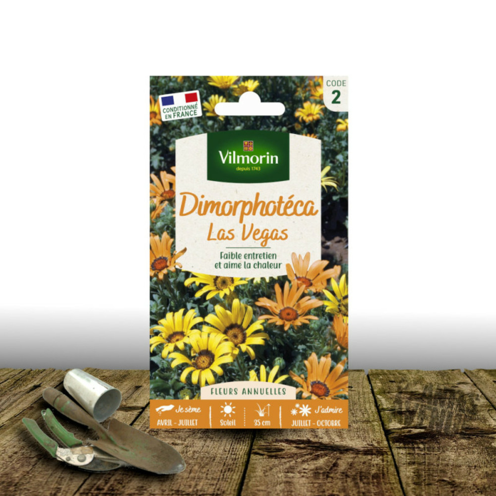 Graines de dimorphotheca las vegas - vilmorin sachet