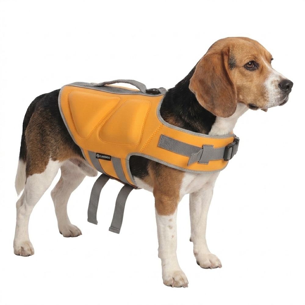 Gilet de sauvetage réglable pour chien swimmy