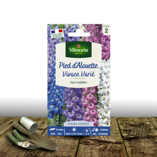 Graines de pied d'alouette vivaces varié - vilmorin sachet