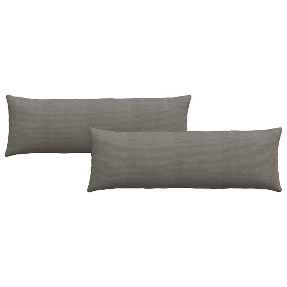 Coussins de canapé 2 pcs gris clair 120 x 40 cm