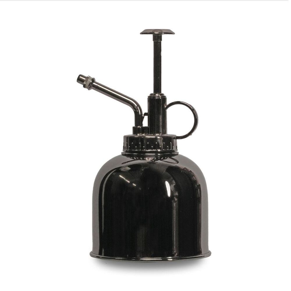 Vaporisateur à plantes en inox - argent foncé