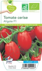 Tomate cerise aligote f1  -plant ab en  pot 0.5 l-plante du jardin