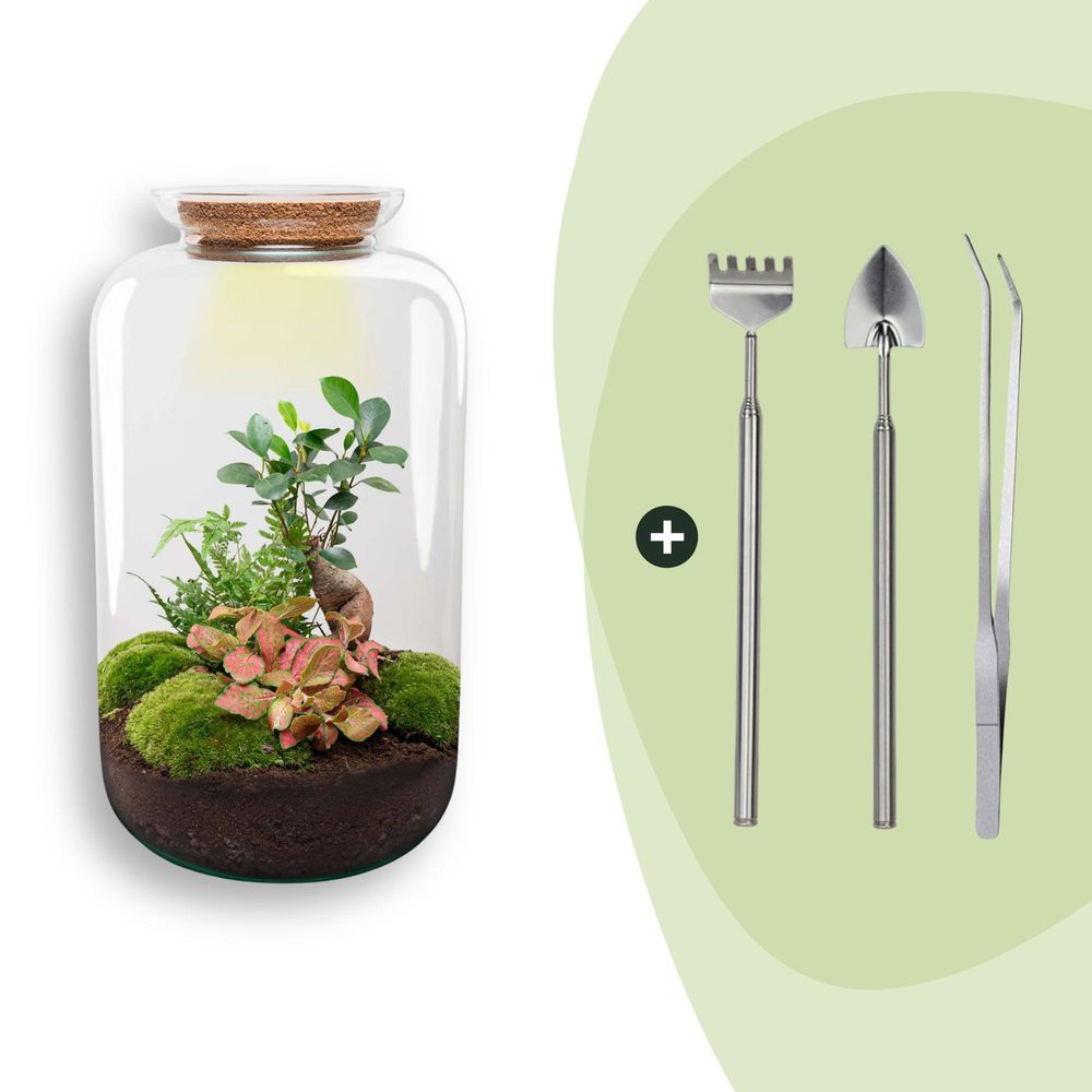 Diy terrarium - sven bonsai - h43 cm - ø43 cm - plantes d'intérieur - 43cm