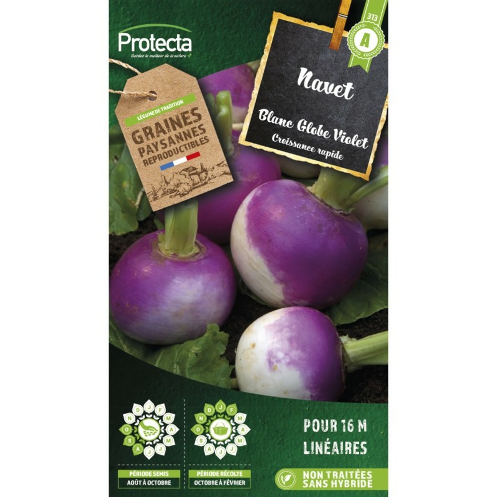 Graines paysannes - navet rouge plat hâtif à feuille entière