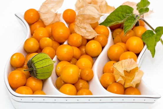 Sachet de graines de physalis peruviana coqueret du perou - sachet de 0,8 grammes - petite entreprise française - made in france