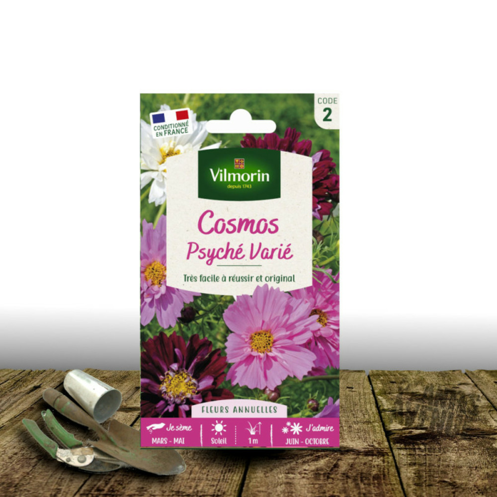 Graines de cosmos psychée varié - vilmorin sachet