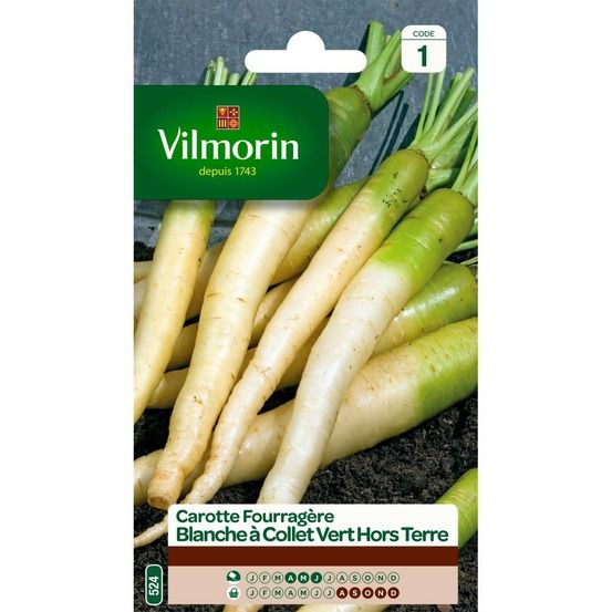 Sachet graines carotte fourragère blanche à collet vert