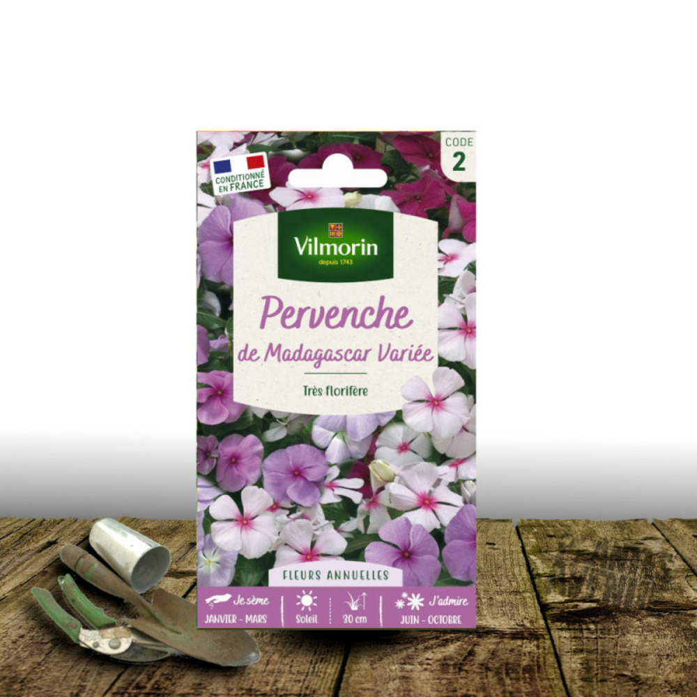 Graines de pervenche de madagascar - vilmorin sachet