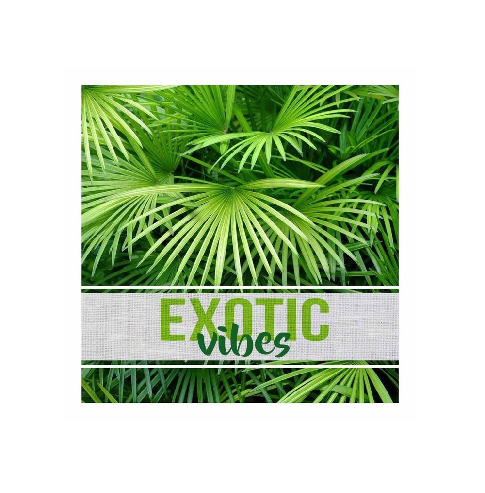 Lot de 20 serviettes papier exotic vibes