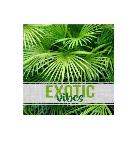 Lot de 20 serviettes papier exotic vibes