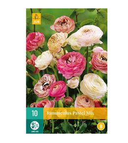 10 renoncules pastel (rose, pale, clair...)
