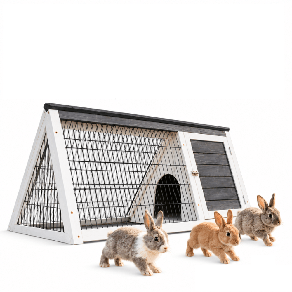 Clapier clapier enclos lapin extérieur en pour lapins petits animaux et 2 portes 115 x 56,5 x 48 cm