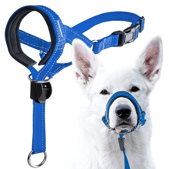 Dtopbuyage licol anti-traction pour chien de taille moyenne