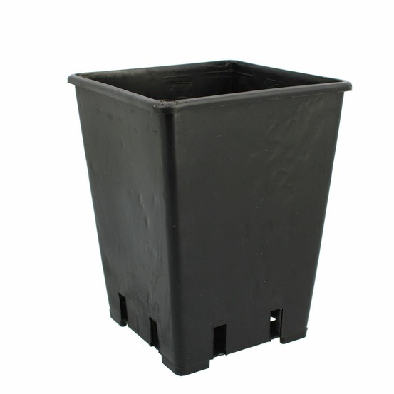 Pot carré noir haut 3.4 litres - 15 x 15 x 20cm lot de 20