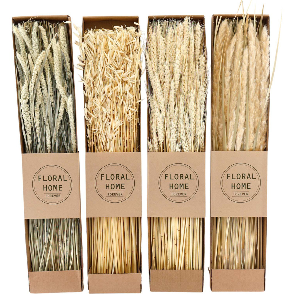 Fleurs séchées naturelles 60 cm floral (lot de 4)