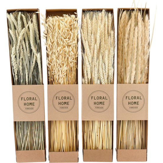 Fleurs séchées naturelles 60 cm floral (lot de 4)