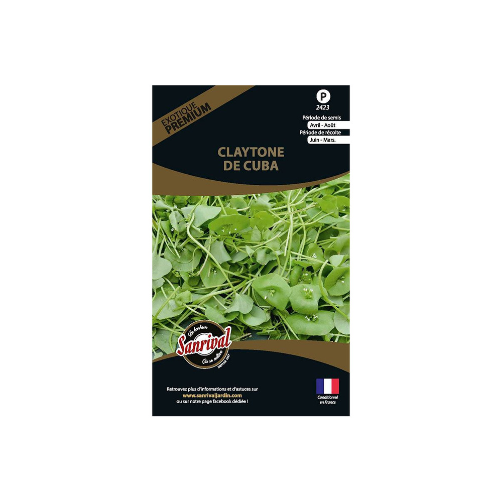 Graines potagères premium claytone de cuba