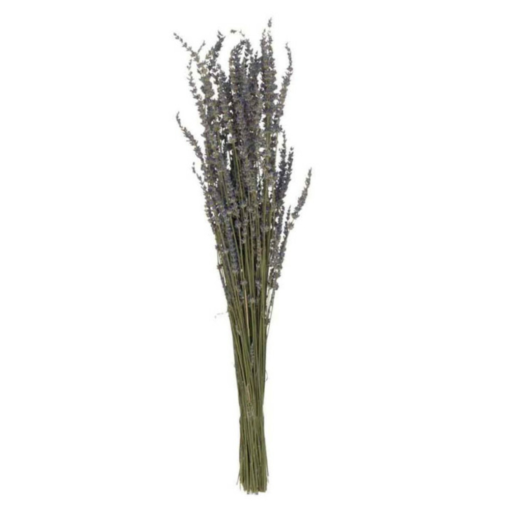 Bouquet de fleurs séchées lavande 73cm mauve