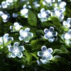 Guirlande lumineuse - fleurs blanches - blanc chaud