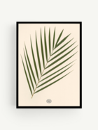 Herbier palmier fond beige cadre noir
