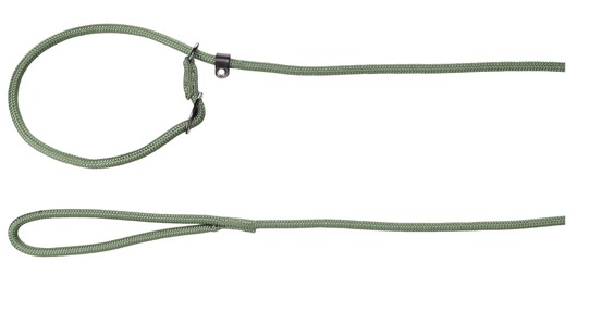 Laisse anti-traction aiden