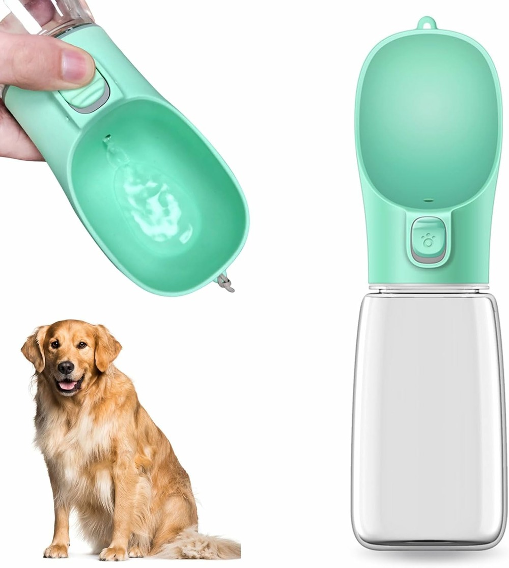 Bouteille d'eau portable pour chien