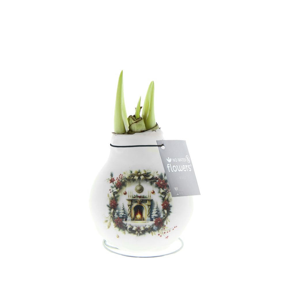 Bulbe d'amaryllis en cire - cheminée de noël - décoration de noël - h. 15-25 cm à la livraison