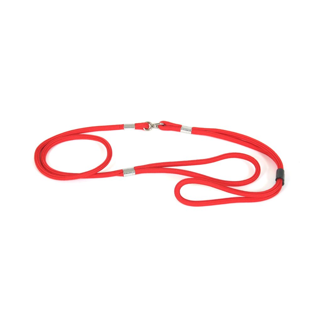 Martin sellier - laisse de présentation pour chiens en nylon martin sellier