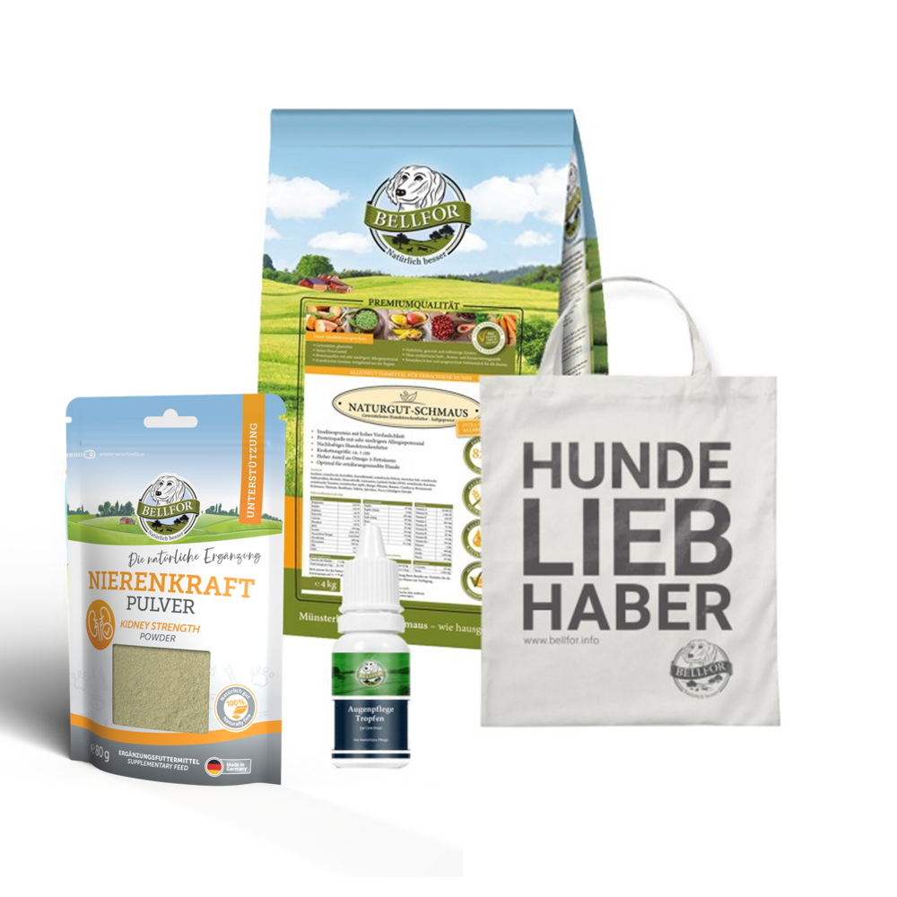 Set de soins oculaires pour les grands chiens souffrant d'allergies alimentaires