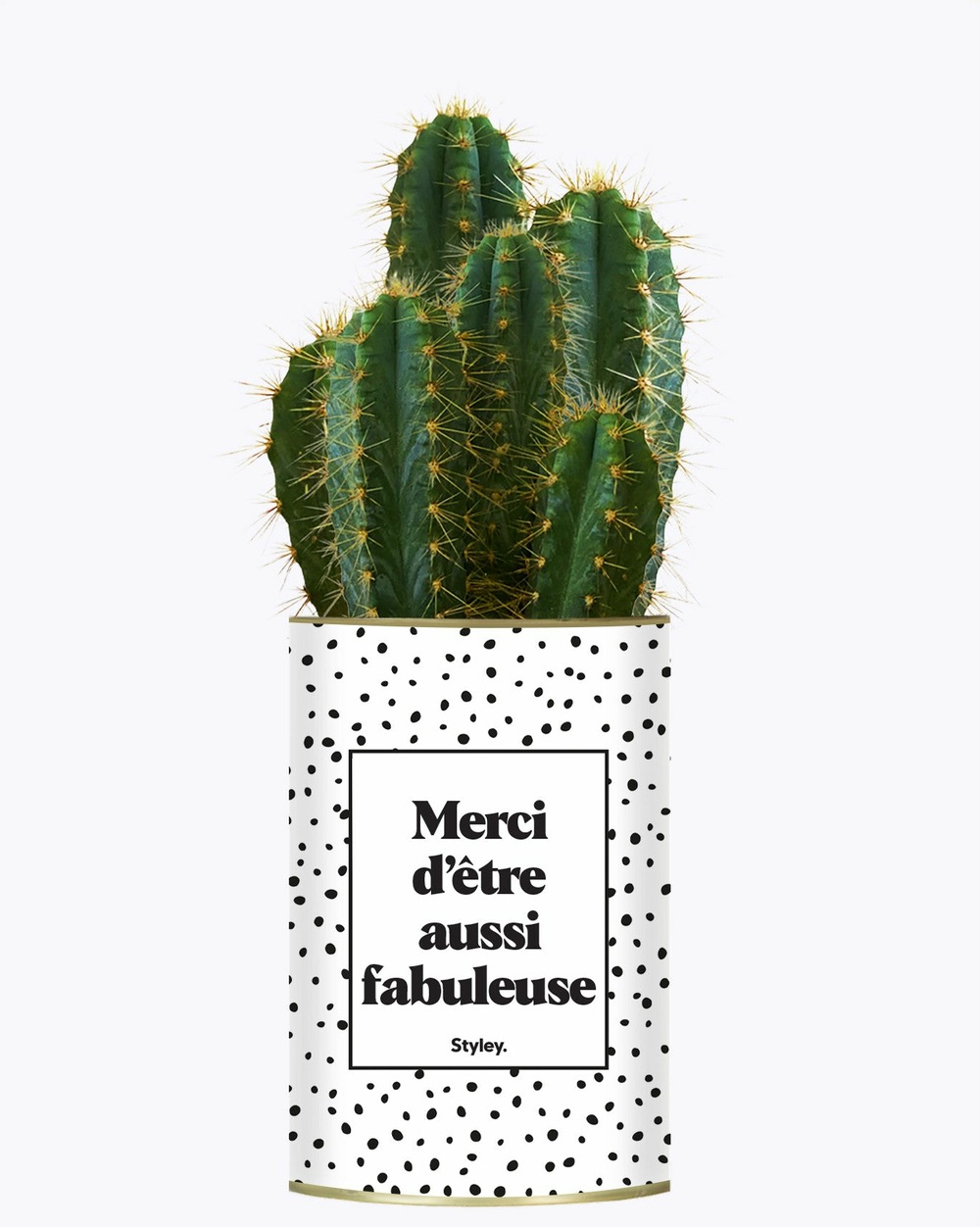 Plante personnalisée - merci d'être aussi fabuleuse - cactus